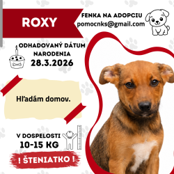 ROXY