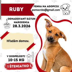 RUBY