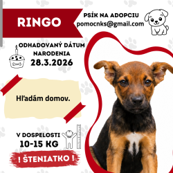 RINGO