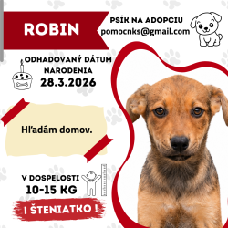 ROBIN