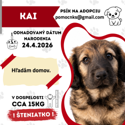 KAI