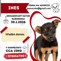 INES