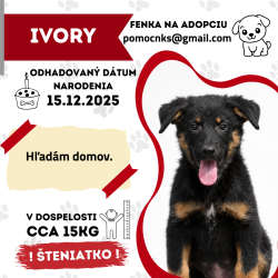 IVORY