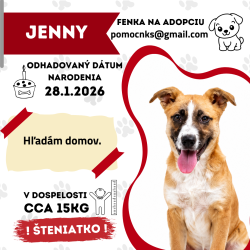 JENNY