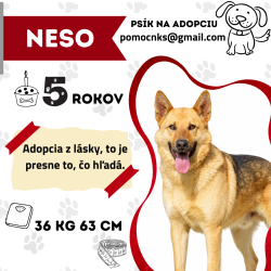 NESO
