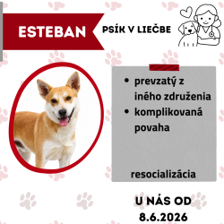 ESTEBAN