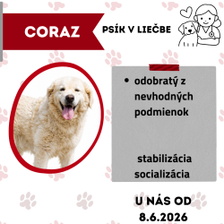 CORAZ