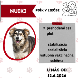 NUIKI