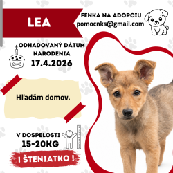 LEA