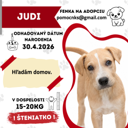 JUDI