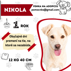 NIKOLA