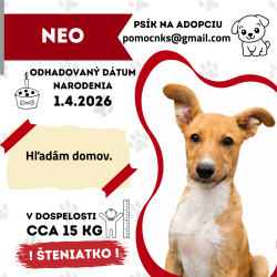 NEO