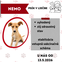 NEMO