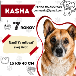 KASHA