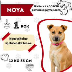 MOYA