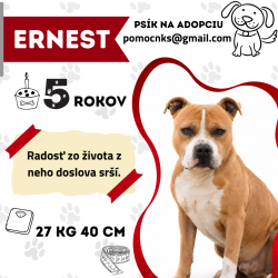 ERNEST