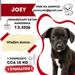 JOEY