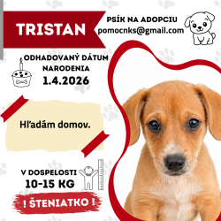 TRISTAN