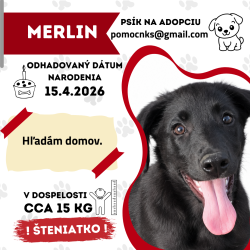 MERLIN
