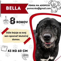 BELLA