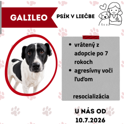 GALILEO