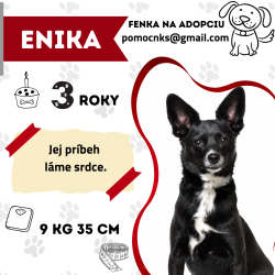 ENIKA