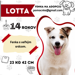LOTTA