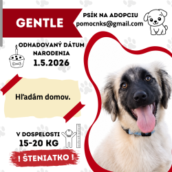 GENTLE