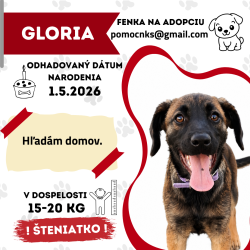 GLORIA