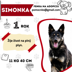 SIMONKA