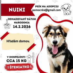 NUIKI