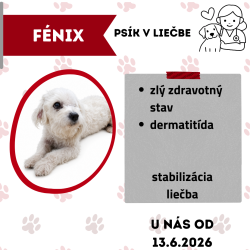 FÉNIX