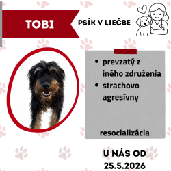 TOBI