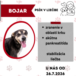 BOJAR