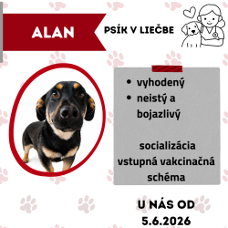 ALAN