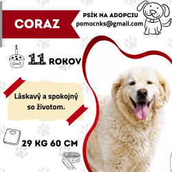 CORAZ