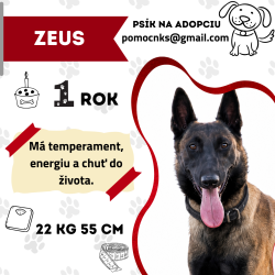 ZEUS