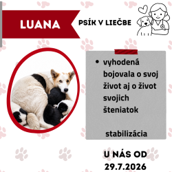 LUANA