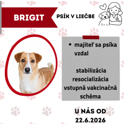 BRIGIT