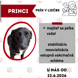 PRINCI