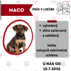 MACO