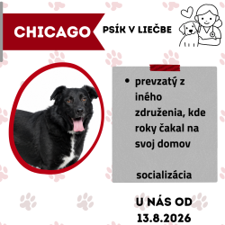 CHICAGO