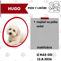 HUGO