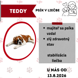 TEDDY