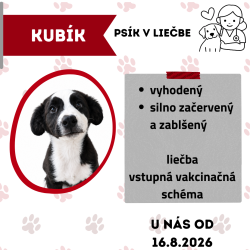 KUBÍK