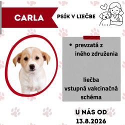 CARLA