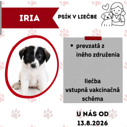 IRIA