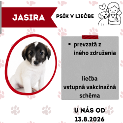 JASIRA