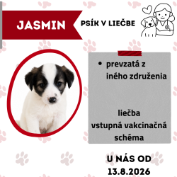 JASMIN