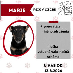 MARIE